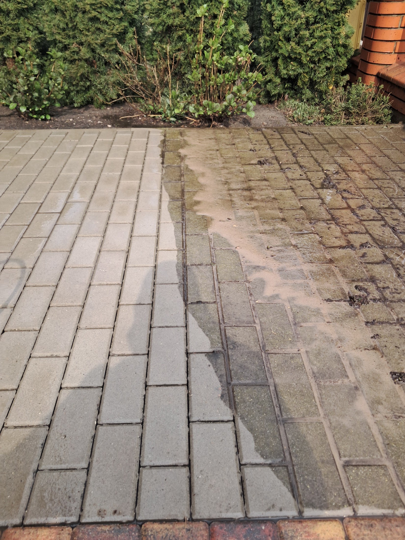 Mycie ścieżki z kostki brukowej i obrzeży przy ogrodzie